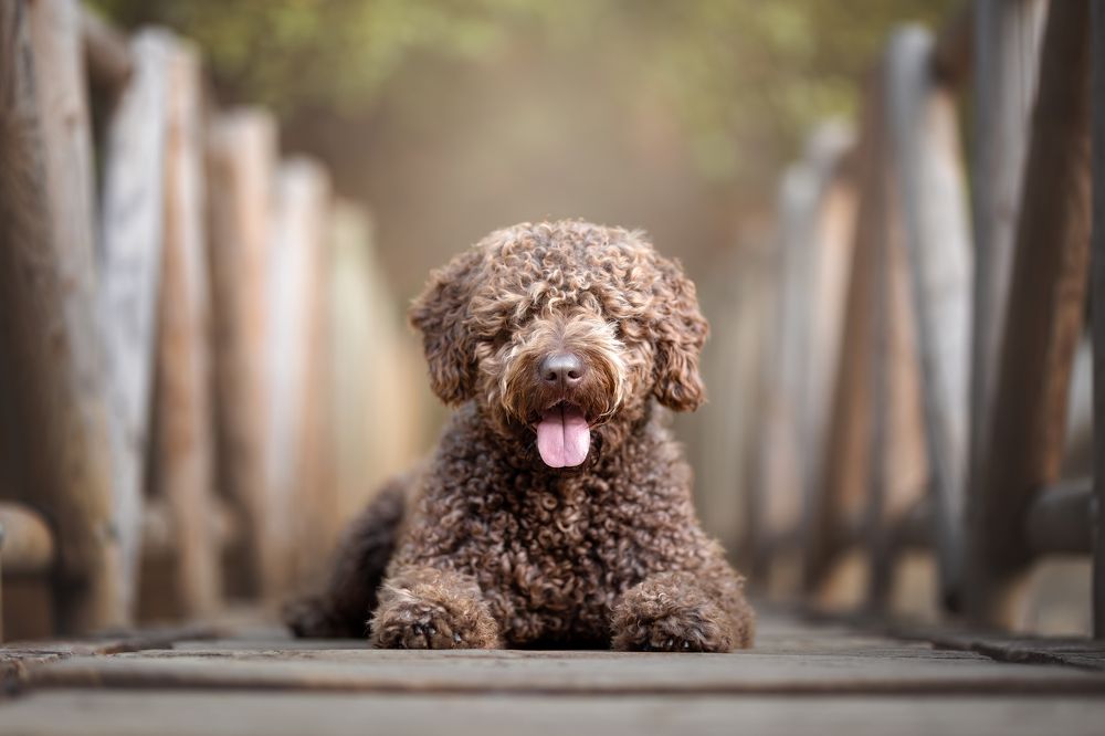 Photograph by Leticia Hernandez