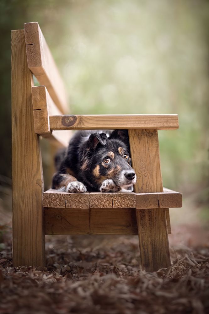 Photograph by Leticia Hernandez