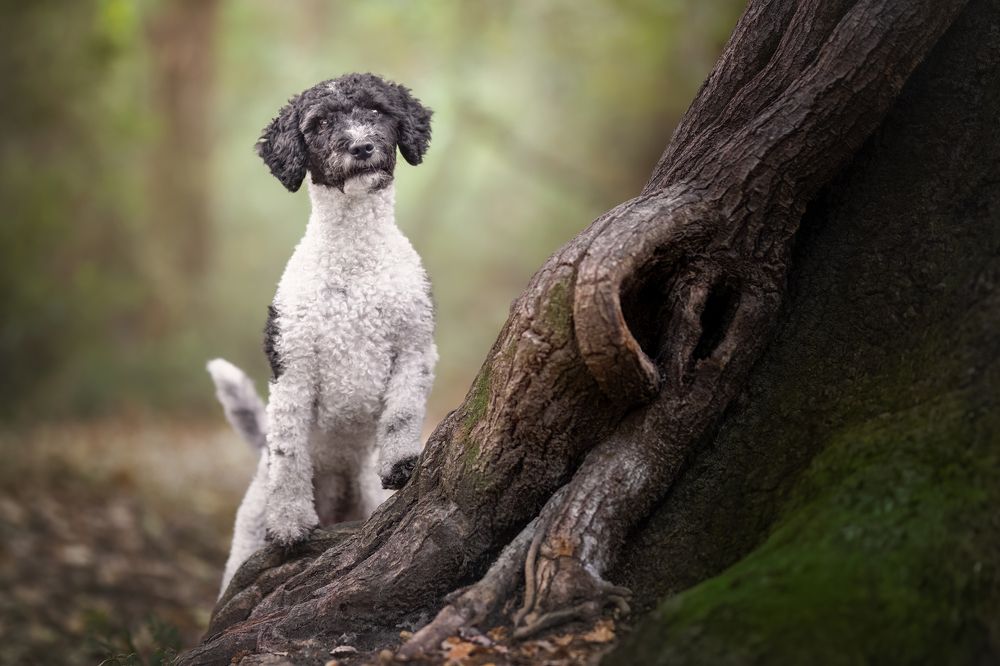 Photograph by Leticia Hernandez