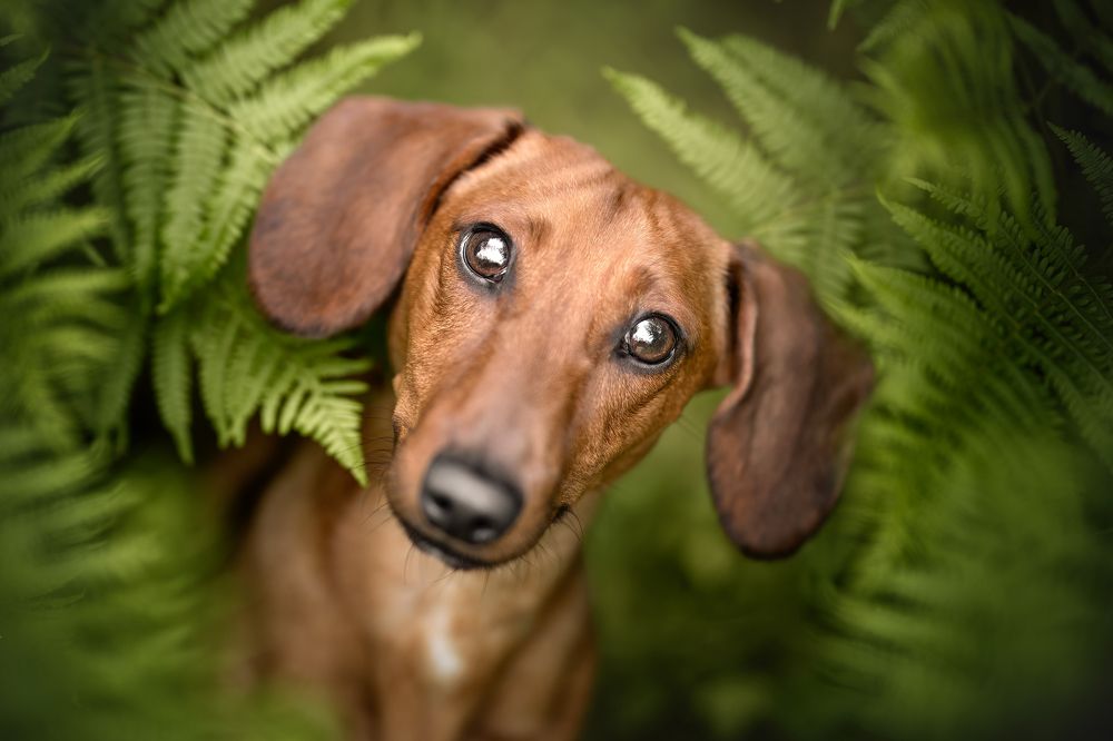 Photograph by Leticia Hernandez