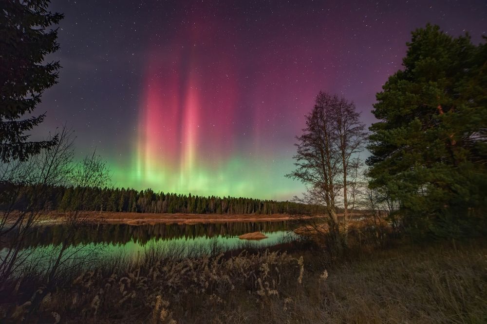 Photograph by Марина Мурашова