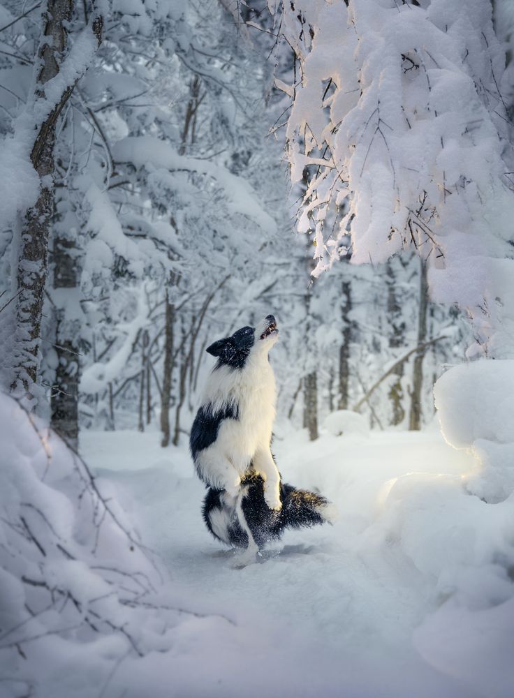 Photograph by He Huapei