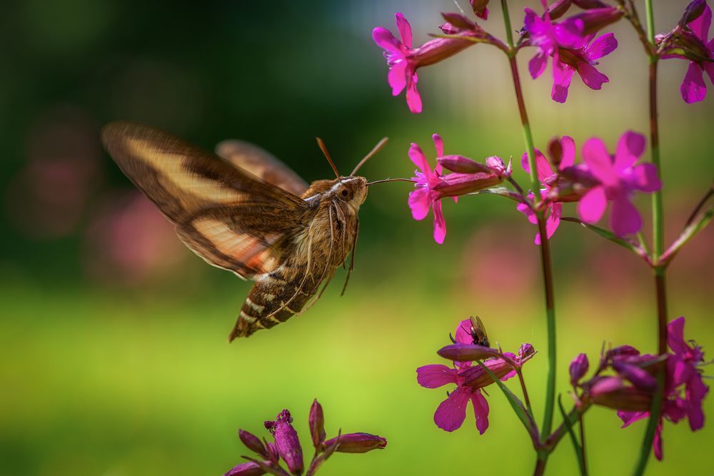 Photograph by Марина Мурашова
