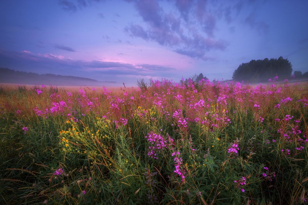 Photograph by Марина Мурашова