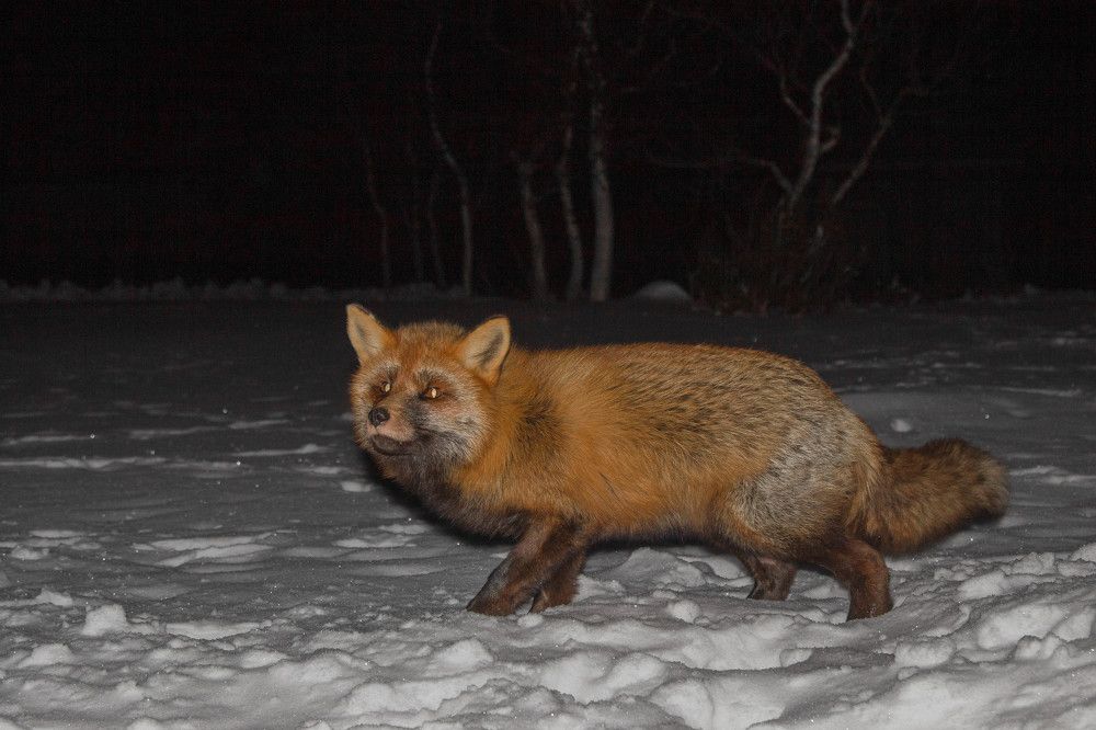 Photograph by Alina Bystrova