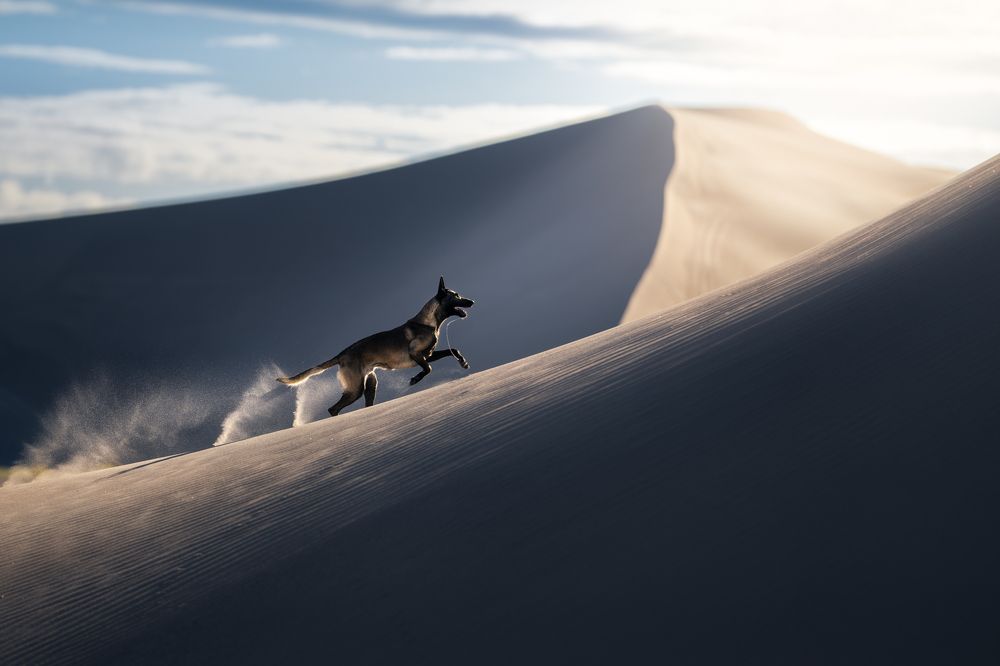 Photograph by Izabela Lyson