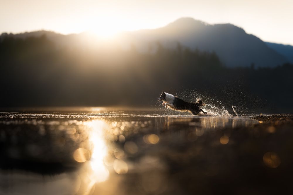 Photograph by Izabela Lyson