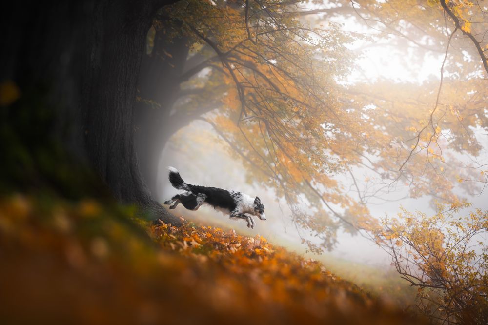 Photograph by Izabela Lyson