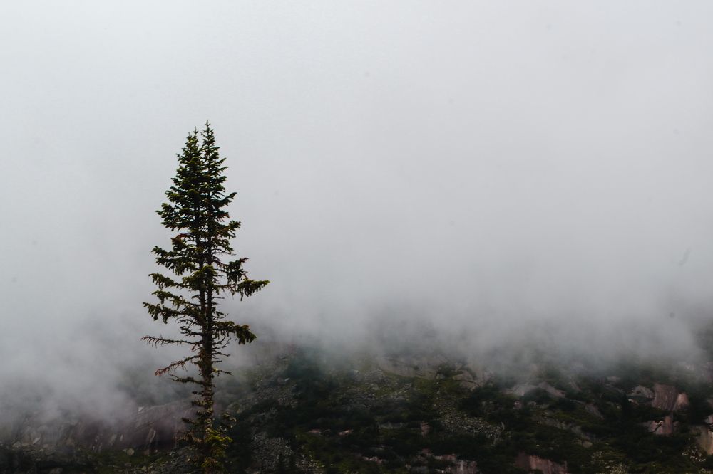 Photograph by Надежда Пахомова