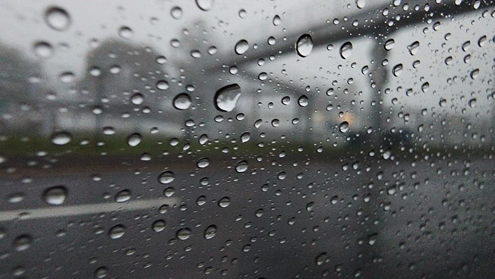 Photo #11673414