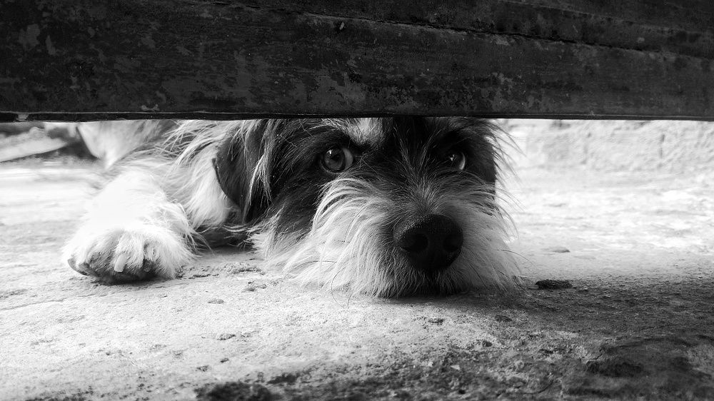 Photograph by Evelyn Emelly