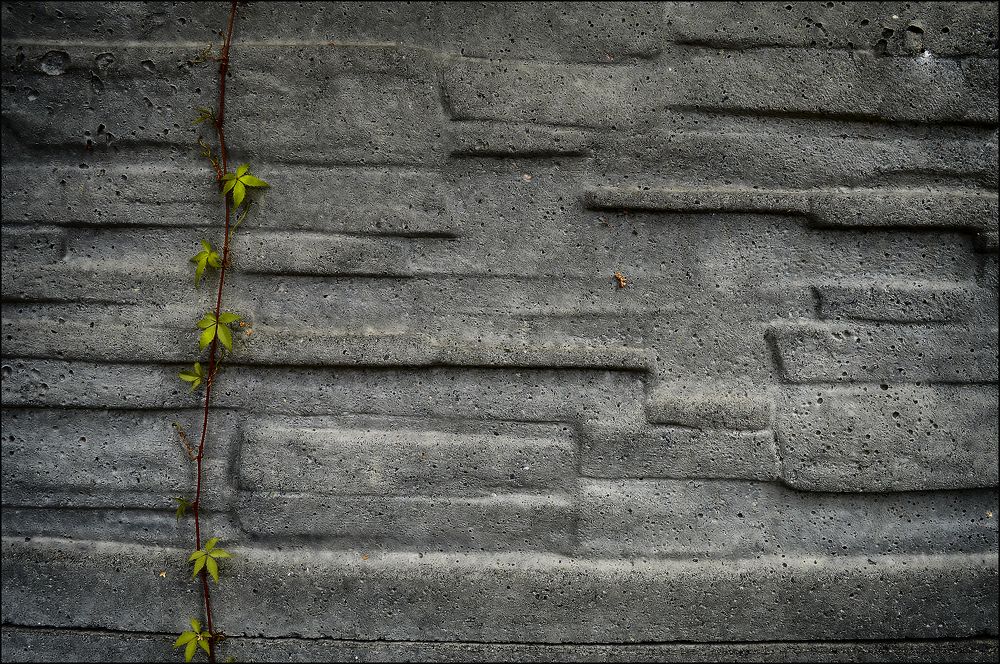 Photograph by Ирина Александрович