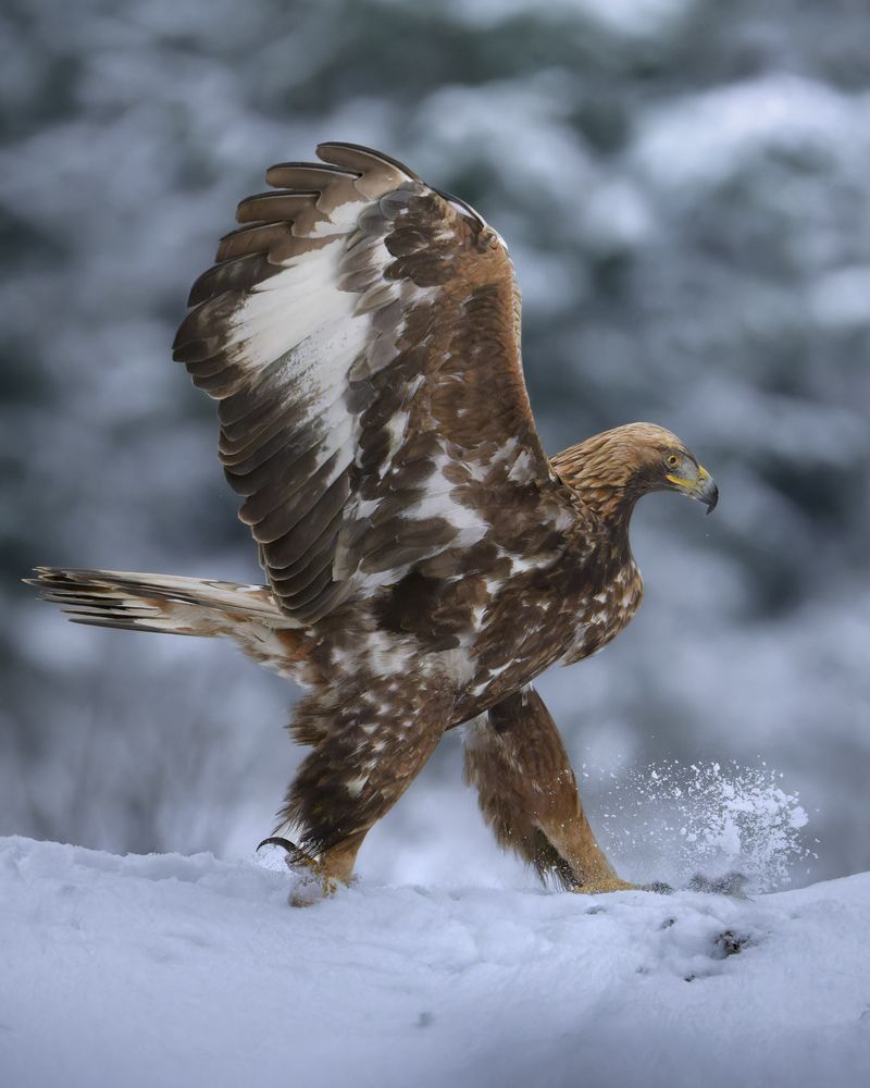 Photograph by Roman Fabrichny