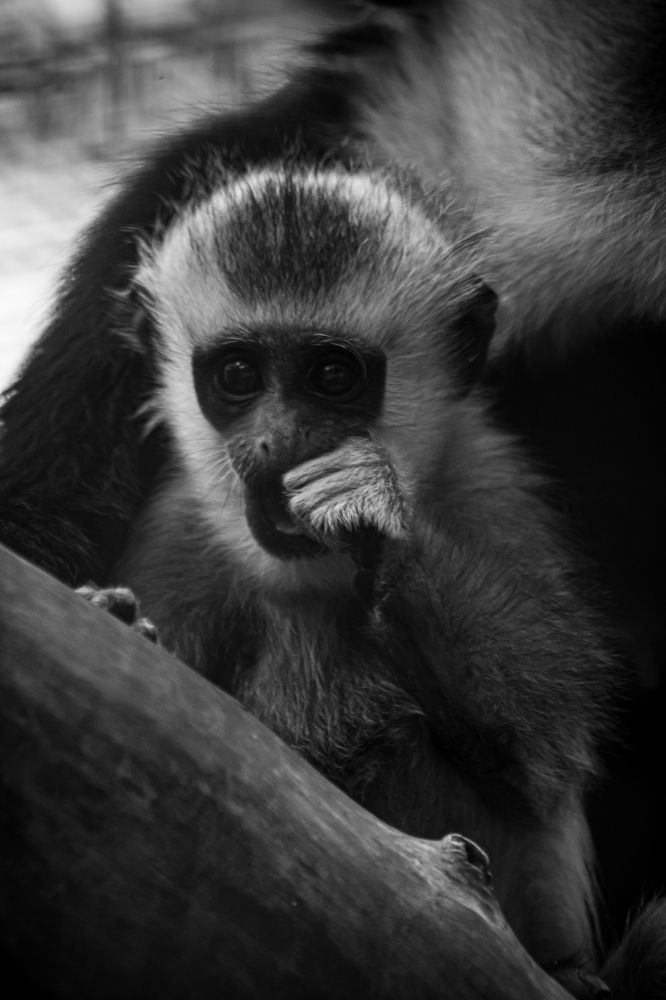 Photograph by Елена Берсенёва