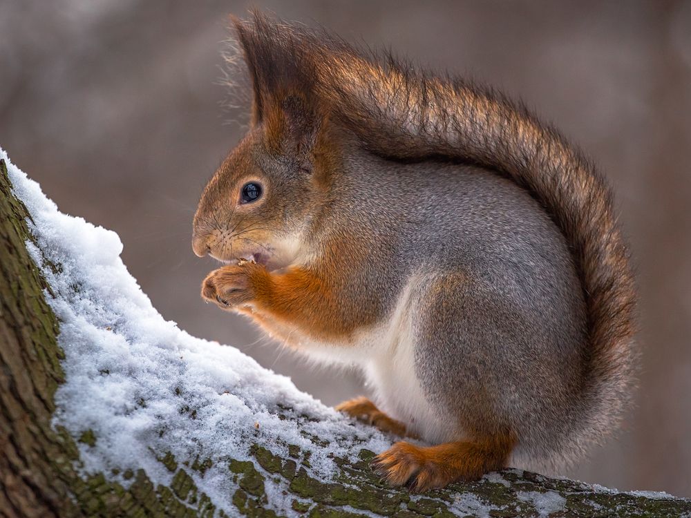 Photograph by Сергей Алексеев