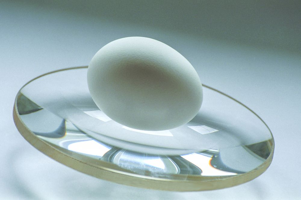 Жизнь, и жить прежде всего