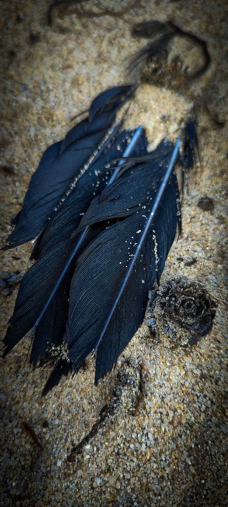 Фотография автора Оркина Ксения