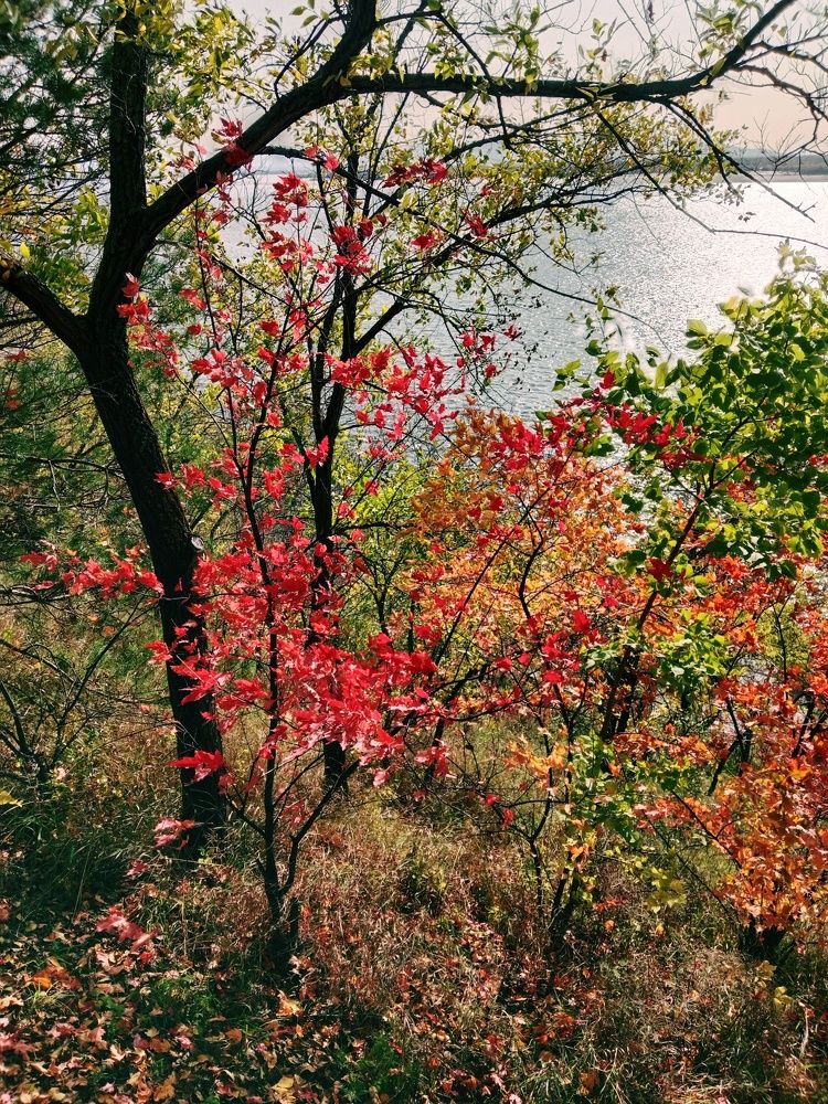 Photo #11673642