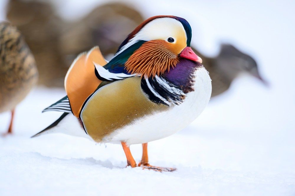 Photograph by Пупонин Сергей