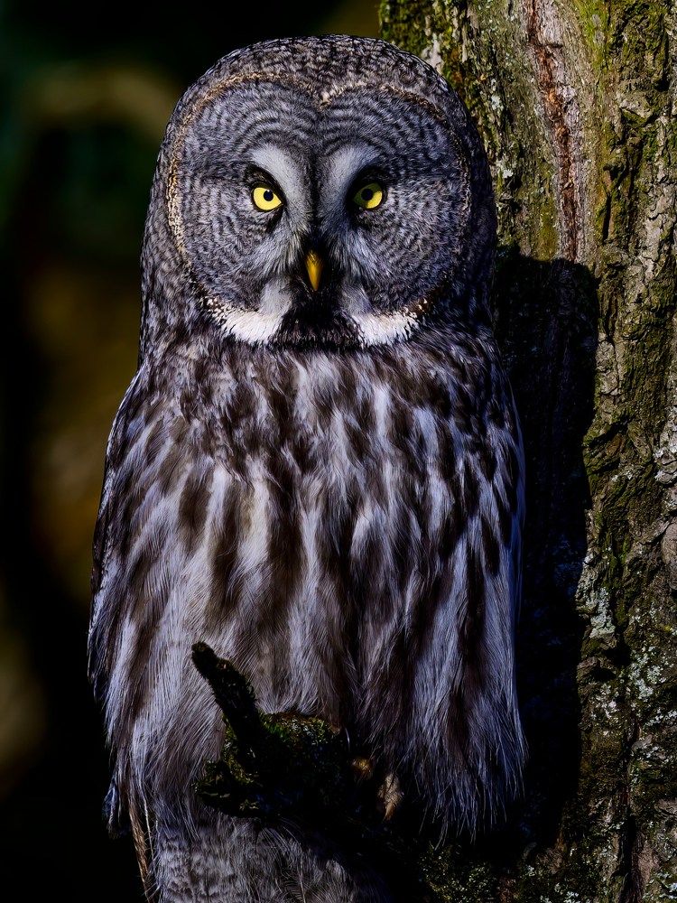 Photograph by Пупонин Сергей