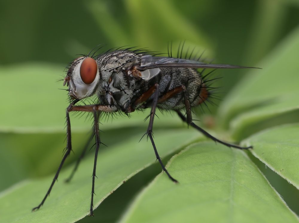 Photograph by Otto Acosta