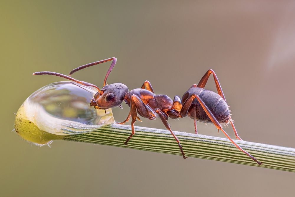 Photograph by Otto Acosta