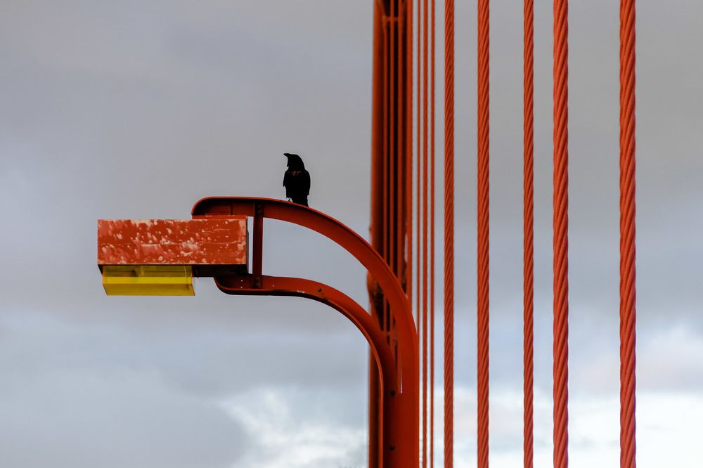 Photograph by Анатолий Костерев