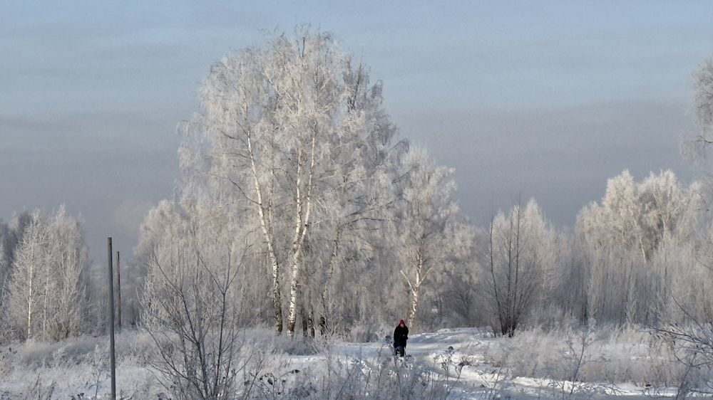 Морозным утром