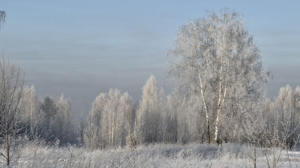 Зимний пейзаж