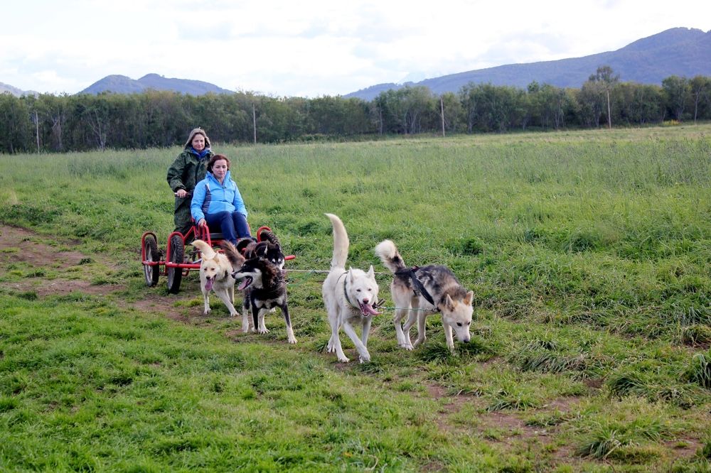 Photograph by Olga Bagaeva