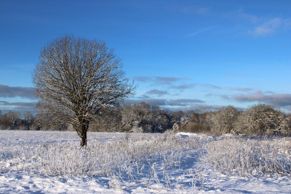 Photograph by Olga Bagaeva