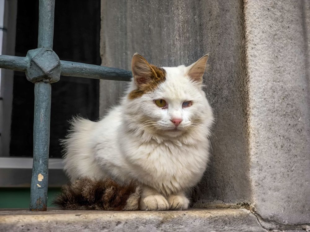 Photograph by Анастасия Толмачева