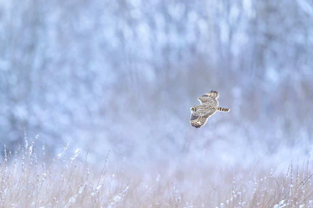 Photograph by Пупонин Сергей