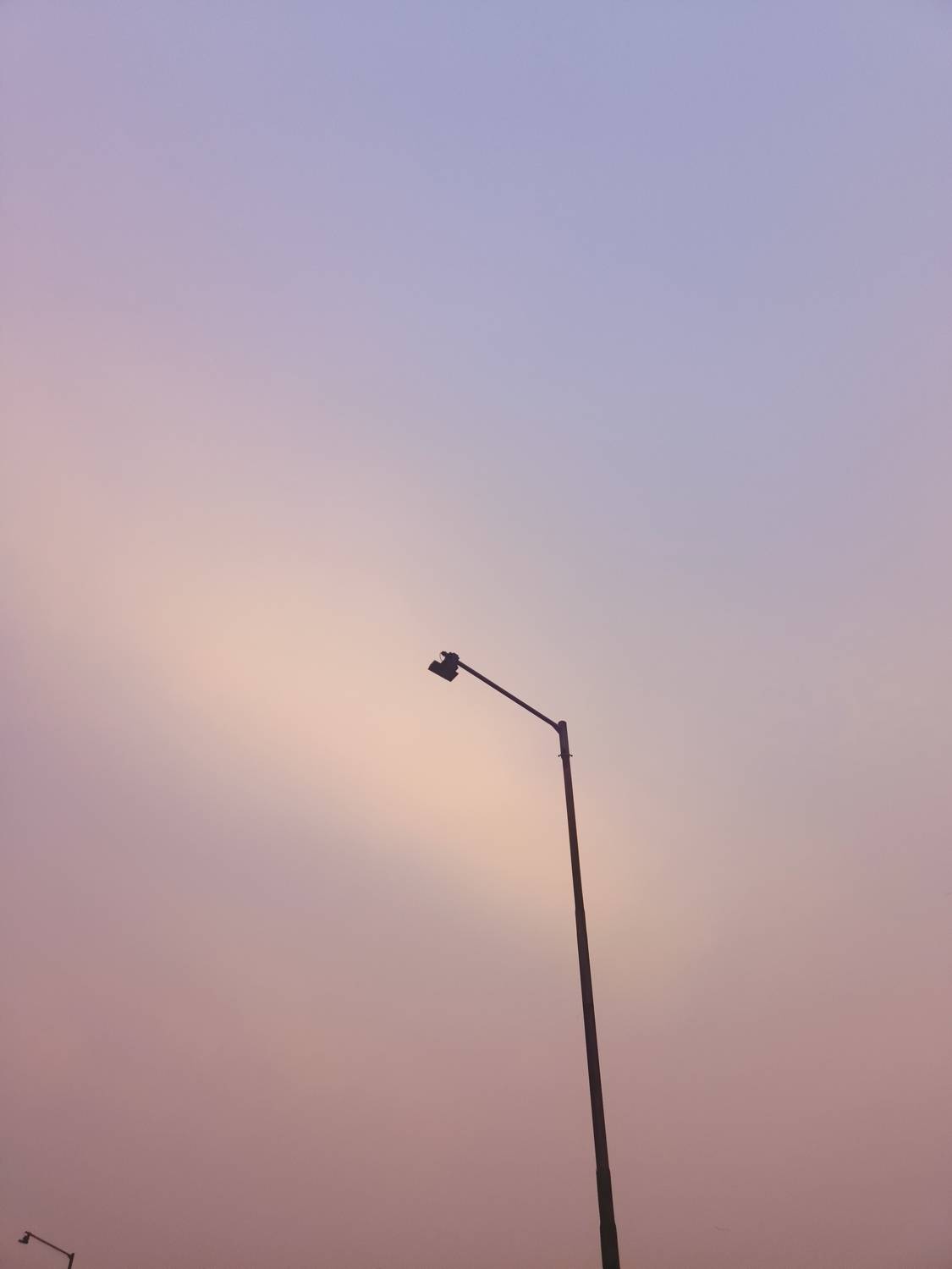 Photo #11673810