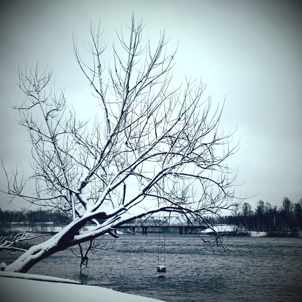 Фотография автора Maks Lanister