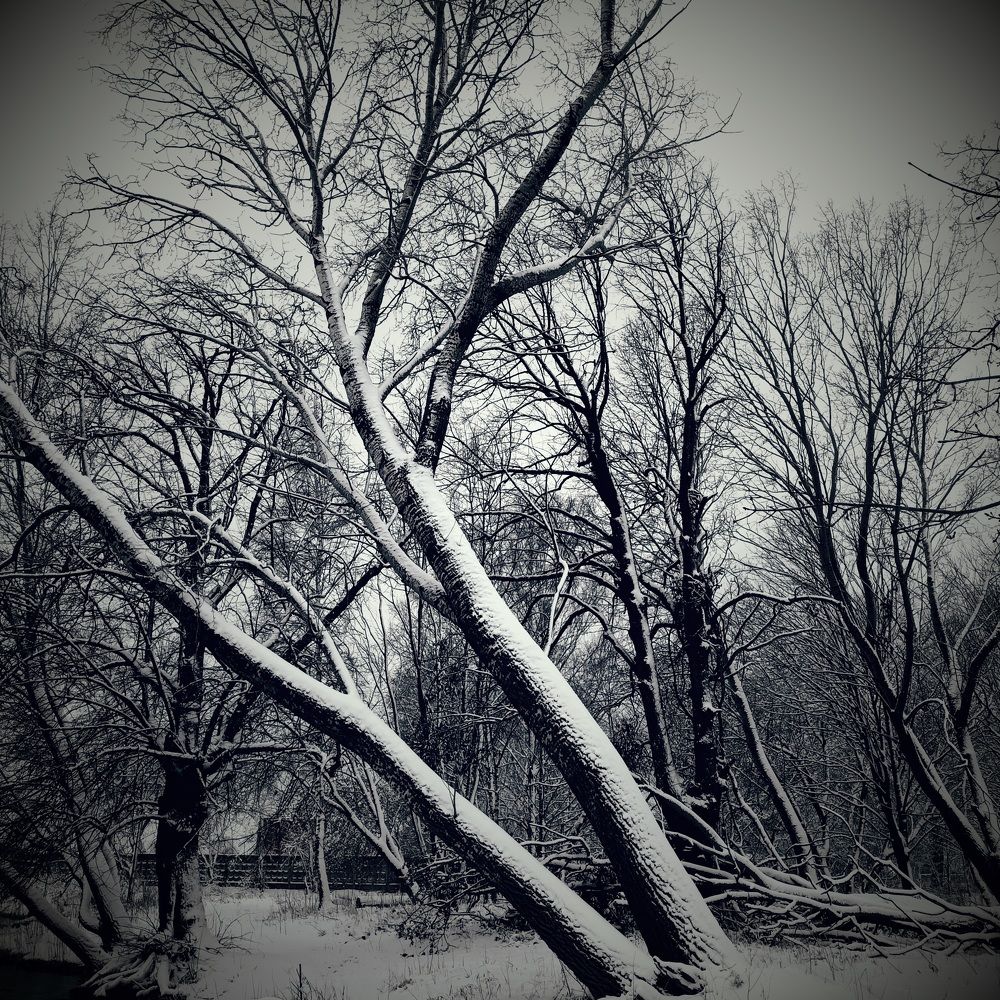 Фотография автора Maks Lanister