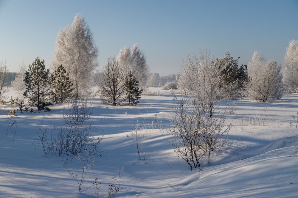 Photograph by виктор ковчин
