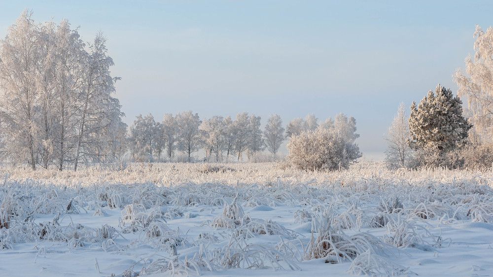 Photograph by Вадим Басов