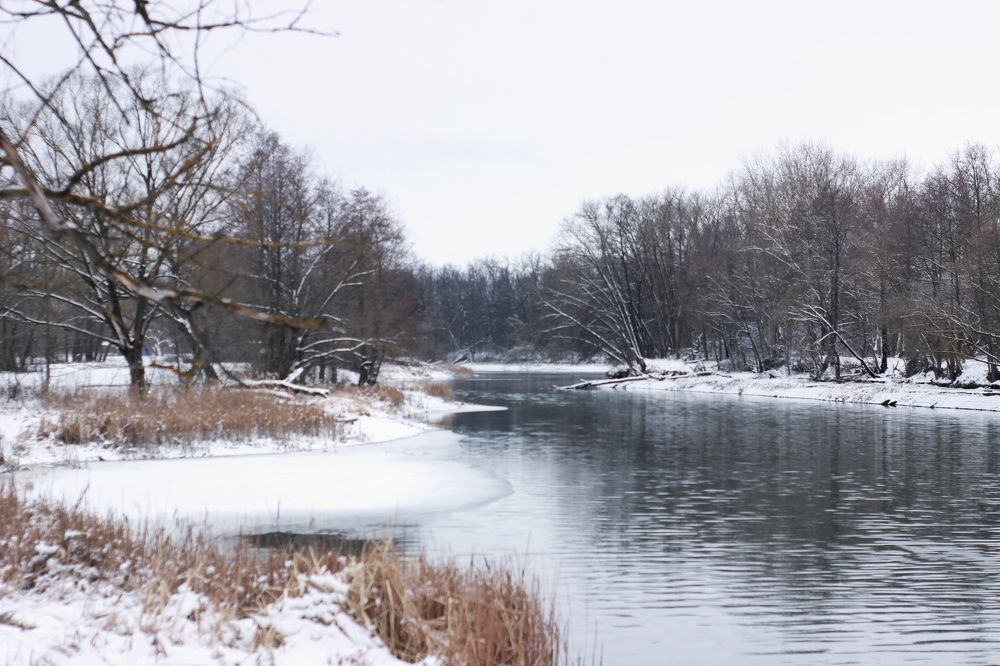 Photograph by Елена Ибрагимова