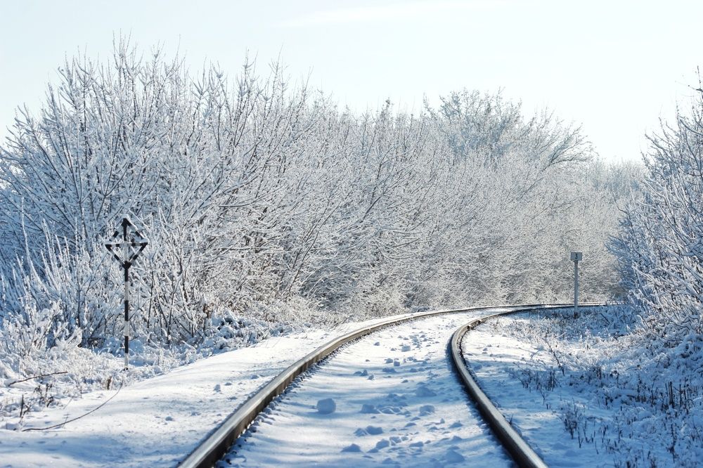 Photograph by Елена Ибрагимова