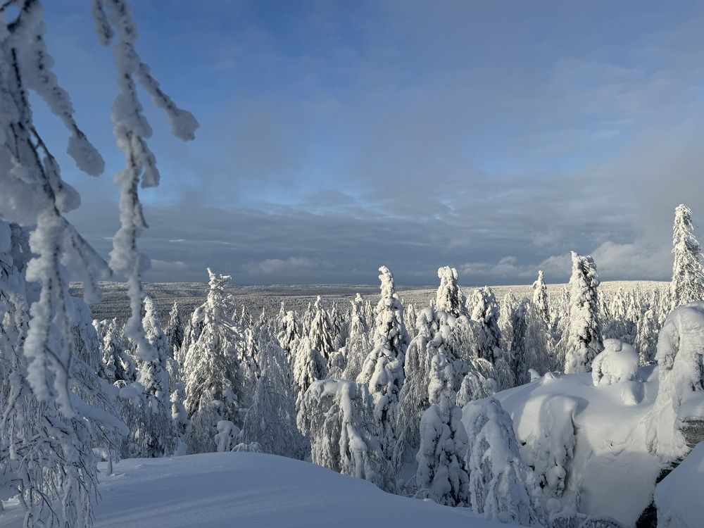 Photograph by Елена Карпухно