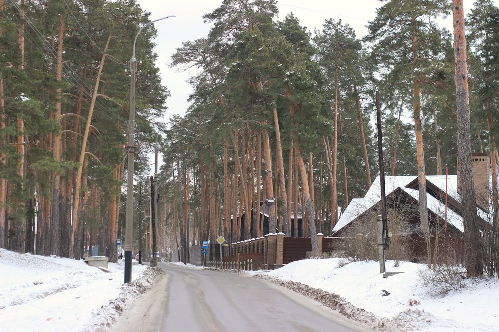 Photograph by Елена Ибрагимова