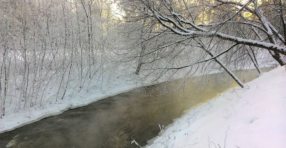 Photograph by Елена Казарина