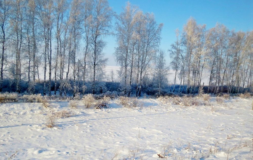 Photograph by Елена Казарина