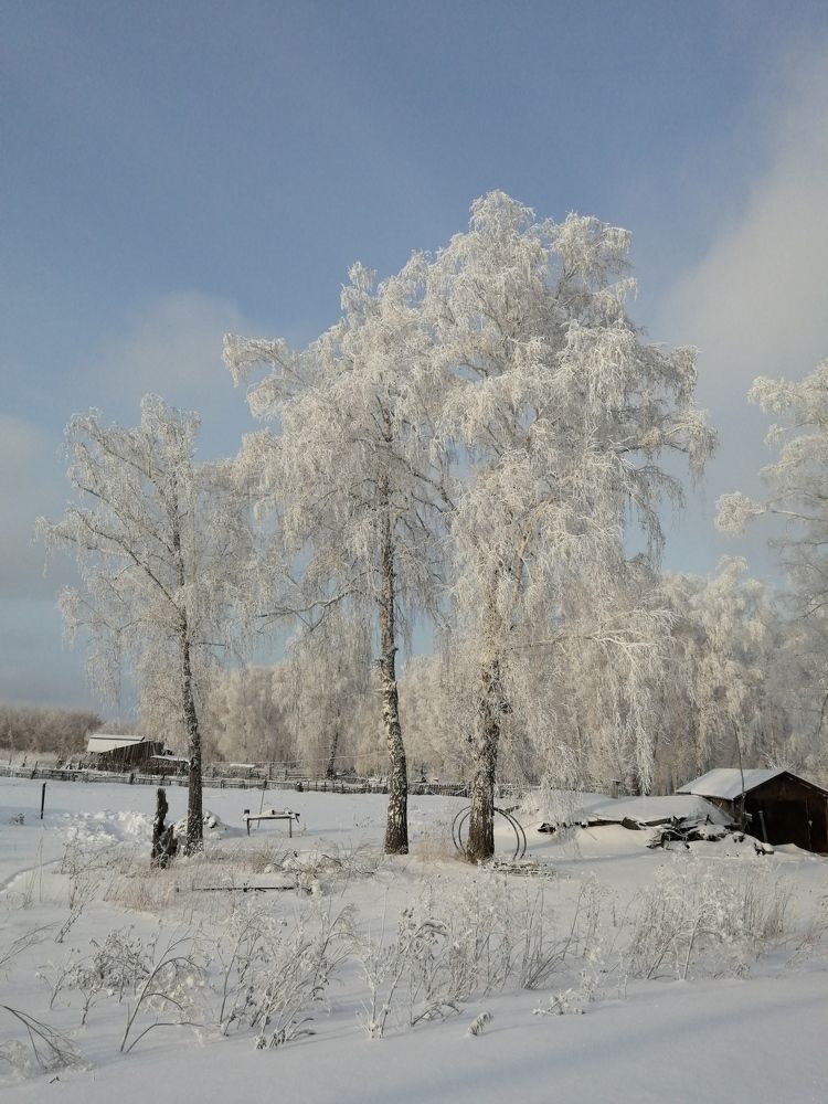Photo #11673901
