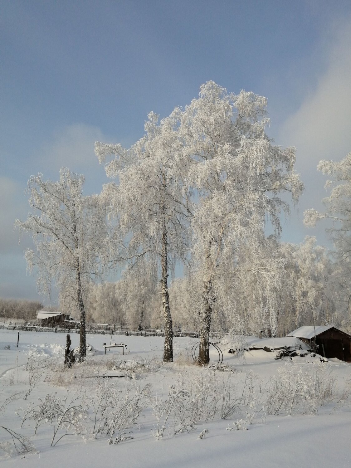 Photo #11673901