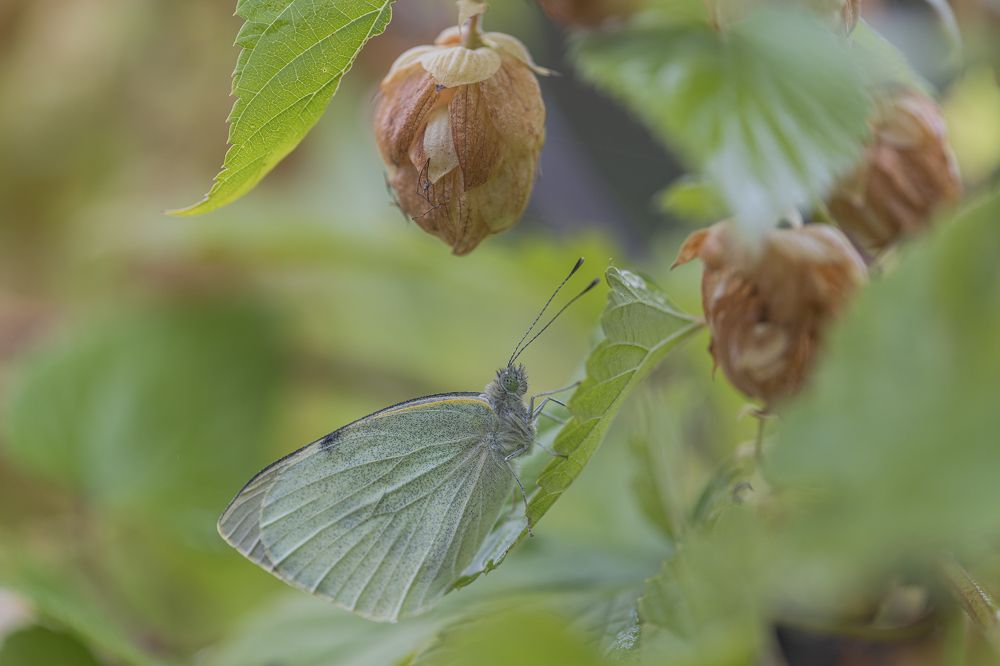 Photograph by ПУЗЕНКО ДМИТРИЙ