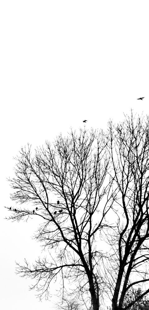 Photograph by Молчанова Ольга