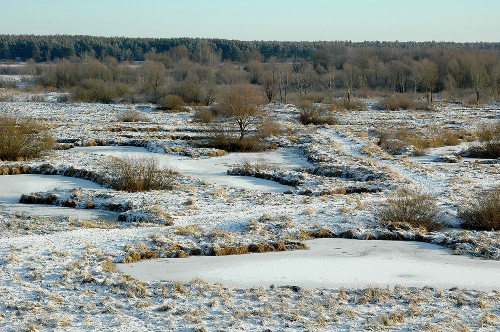 Фотография автора Николай Семенец
