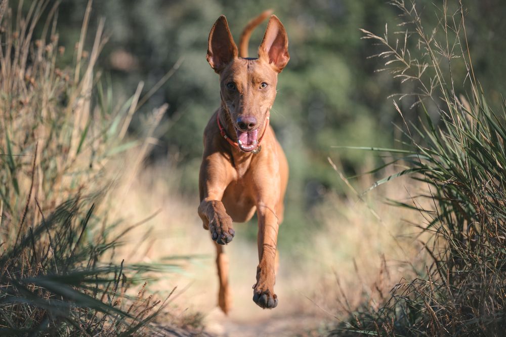 Photograph by Анастасия Жучкова